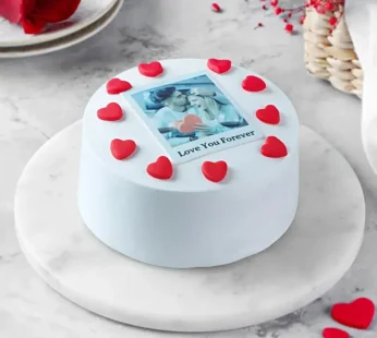 Photo Truffle Bento Cake